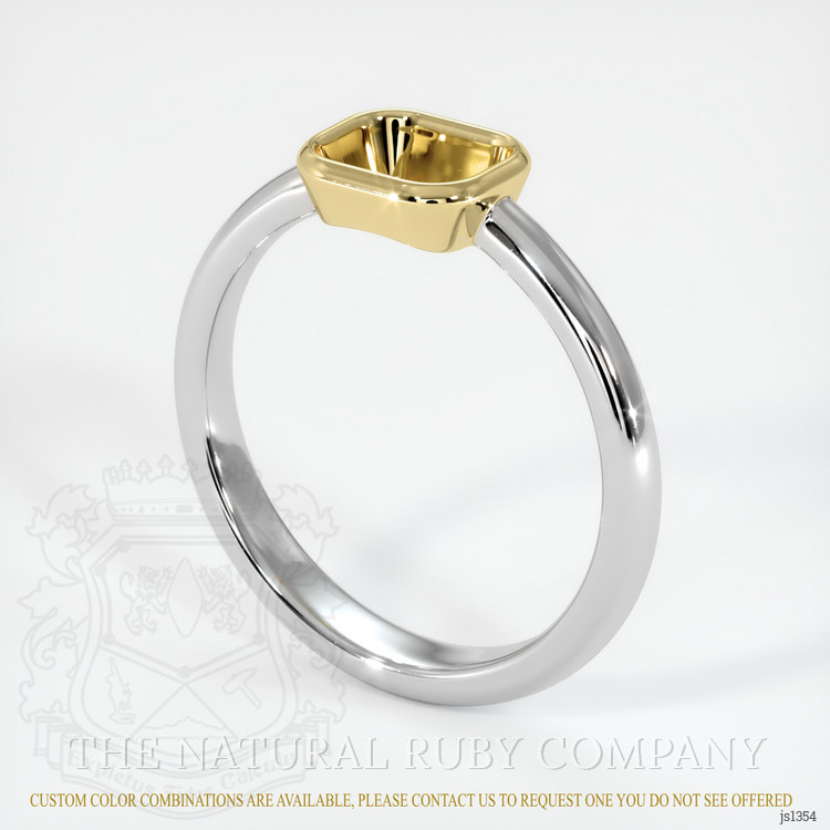 14K Yellow & White Men's Ring Setting