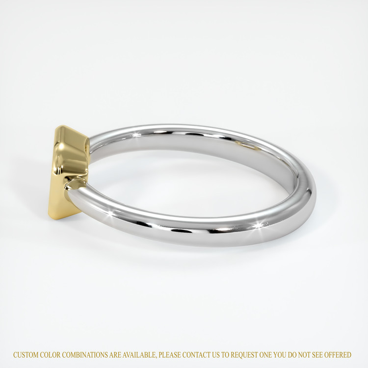 14K Yellow & White Men's Ring Setting