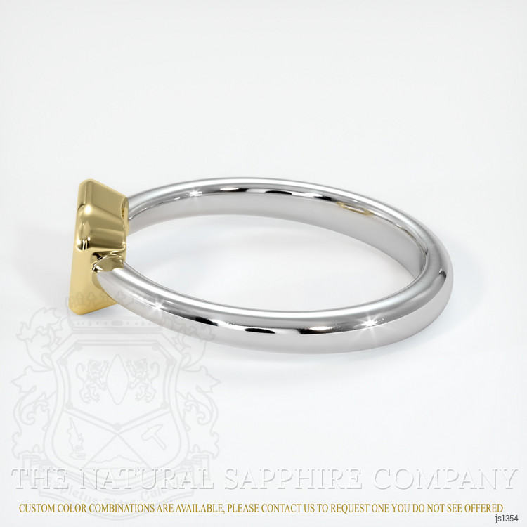 14K Yellow & White Men's Ring Setting