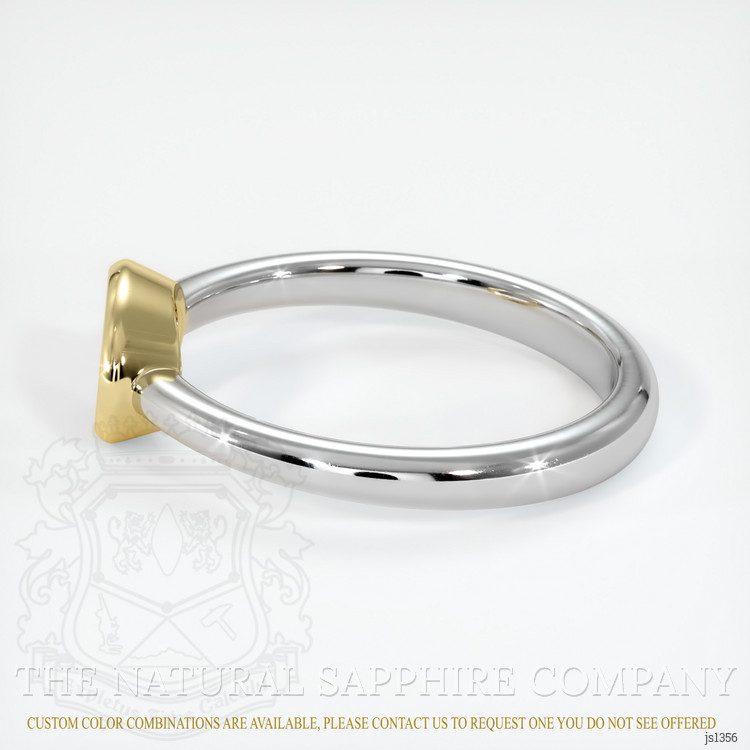 14K Yellow & White Men's Ring Setting