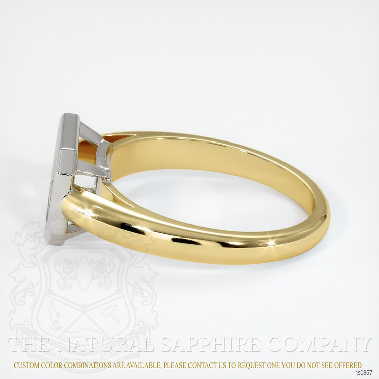 14K White & Yellow Men's Ring Setting