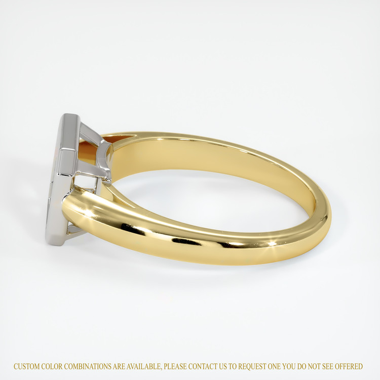 18K White & Yellow Men's Ring Setting