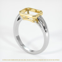 14K Yellow & White Men's Ring Setting Video