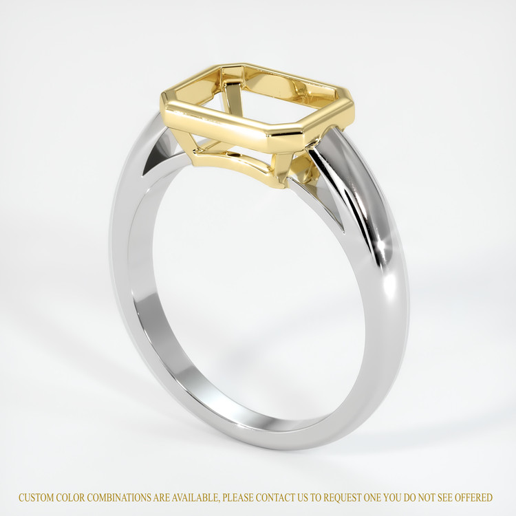 14K Yellow & White Men's Ring Setting