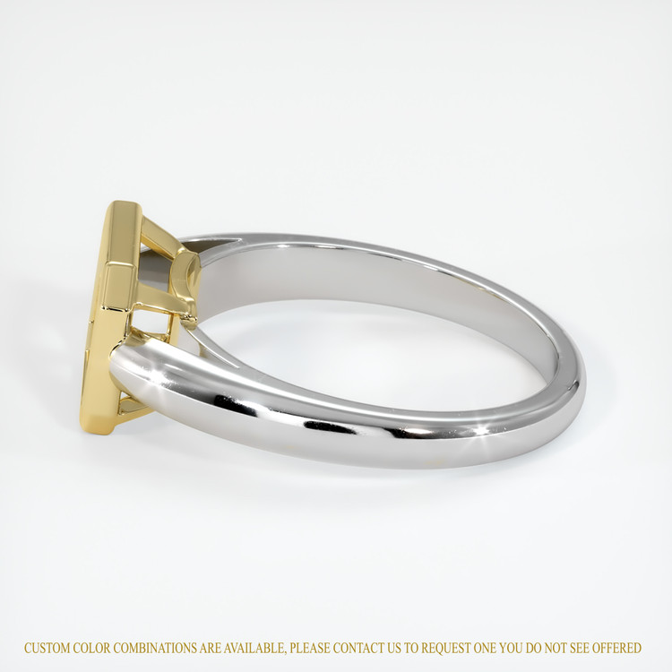 14K Yellow & White Men's Ring Setting