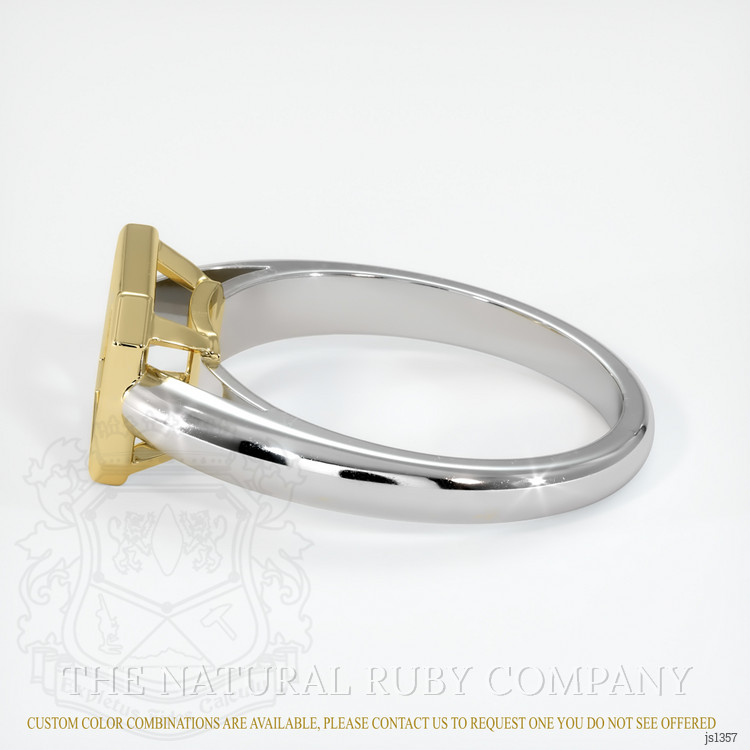 14K Yellow & White Men's Ring Setting