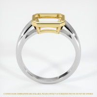 18K Yellow & White Men's Ring Setting Image