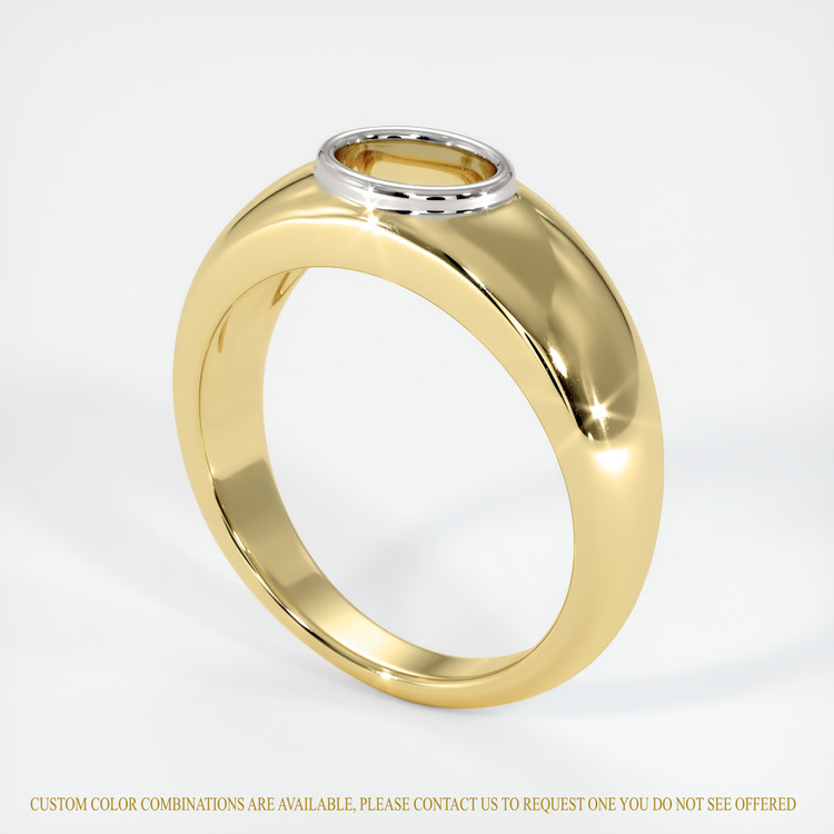 14K White & Yellow Men's Ring Setting