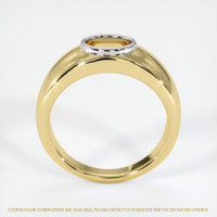 14K White & Yellow Men's Ring Setting Image