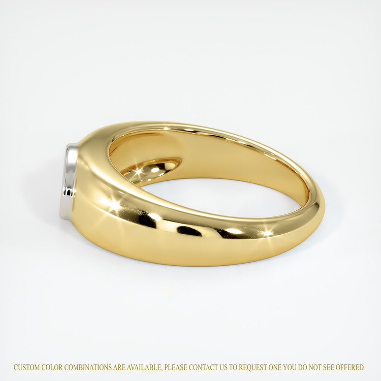 18K White & Yellow Men's Ring Setting
