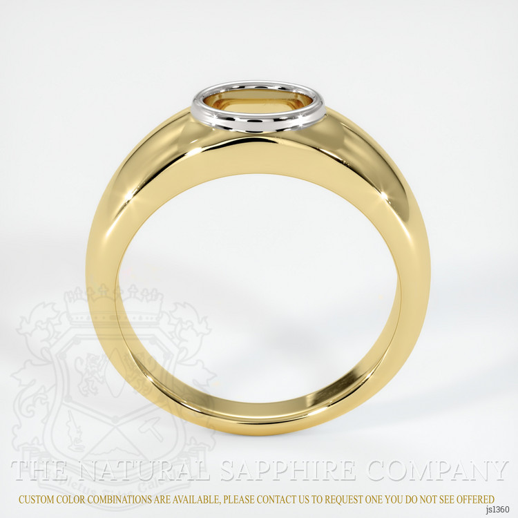 18K White & Yellow Men's Ring Setting