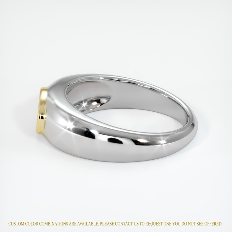14K Yellow & White Men's Ring Setting