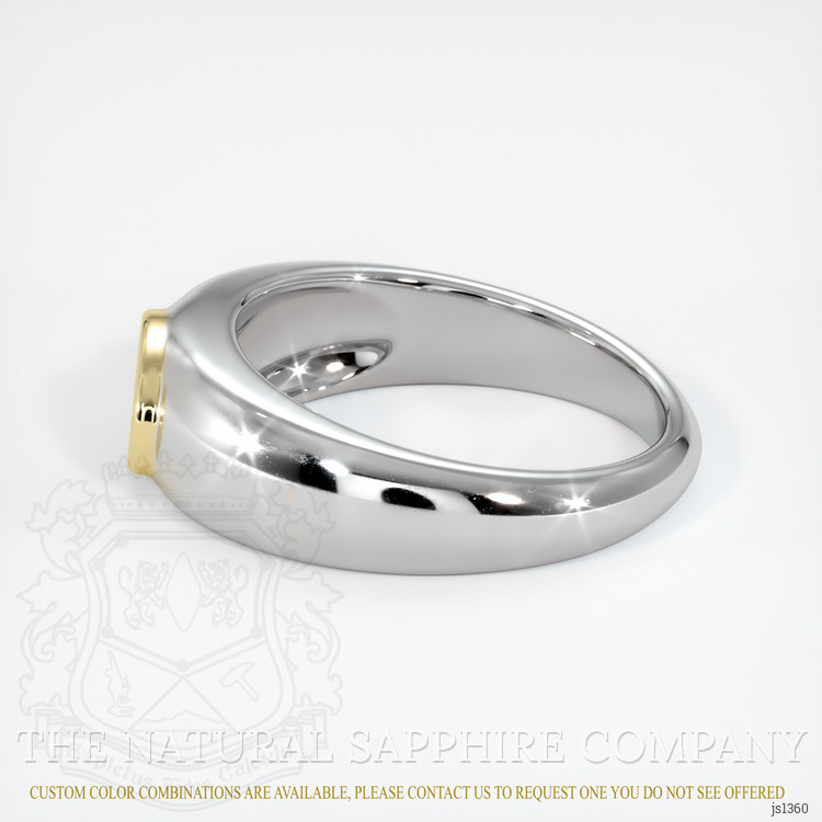 14K Yellow & White Men's Ring Setting