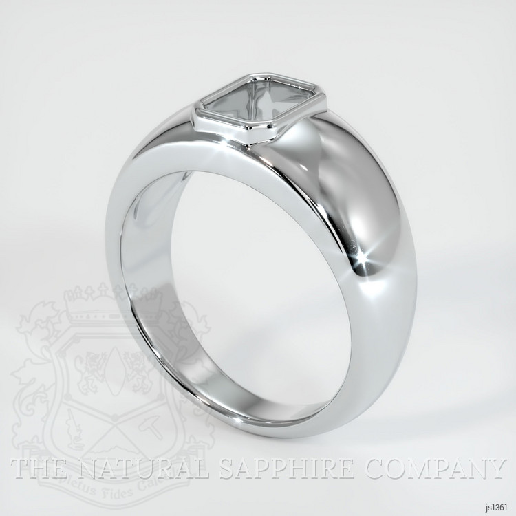 18K White Gold Men's Ring Setting