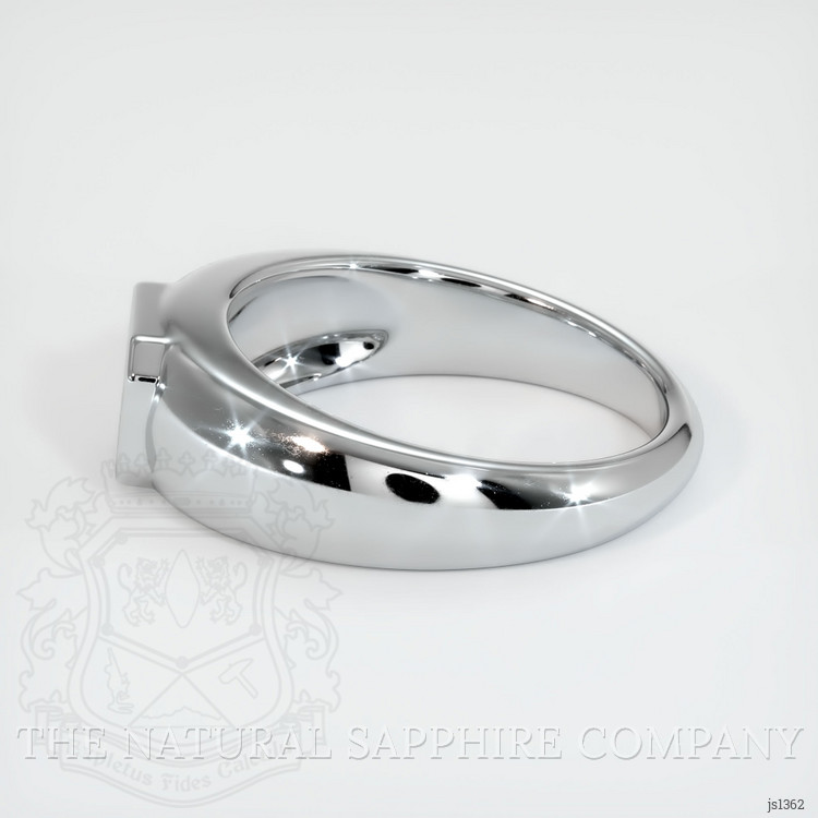 10K White Gold Men's Ring Setting