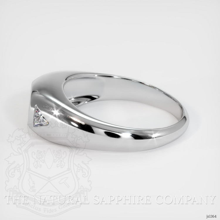 18K White Gold Men's Ring Setting