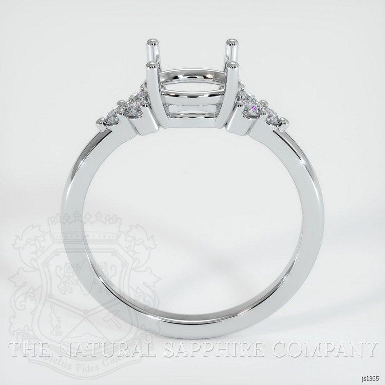 10K White Gold Accent Stones Ring Setting
