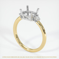 14K White & Yellow Three Stone Ring Setting Video