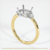 18K White & Yellow Three Stone Ring Setting Video