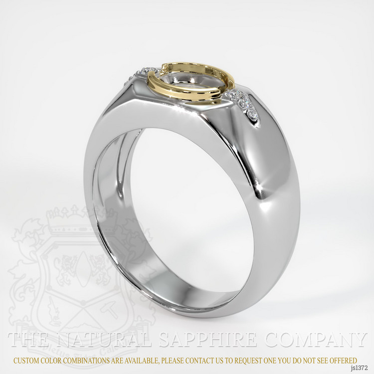 14K Yellow & White Men's Ring Setting