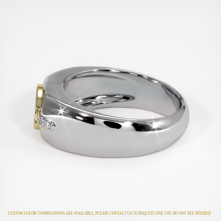 14K Yellow & White Men's Ring Setting