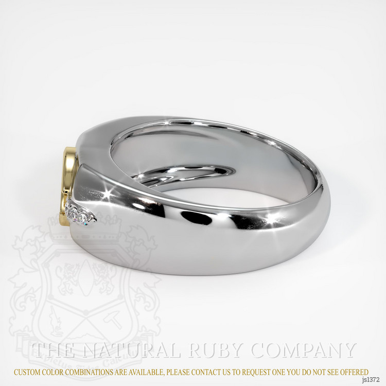 14K Yellow & White Men's Ring Setting