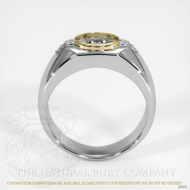 14K Yellow & White Men's Ring Setting