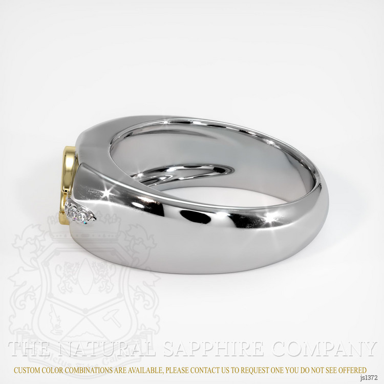 18K Yellow & White Men's Ring Setting