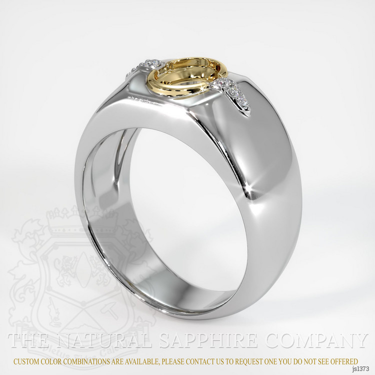 14K Yellow & White Men's Ring Setting