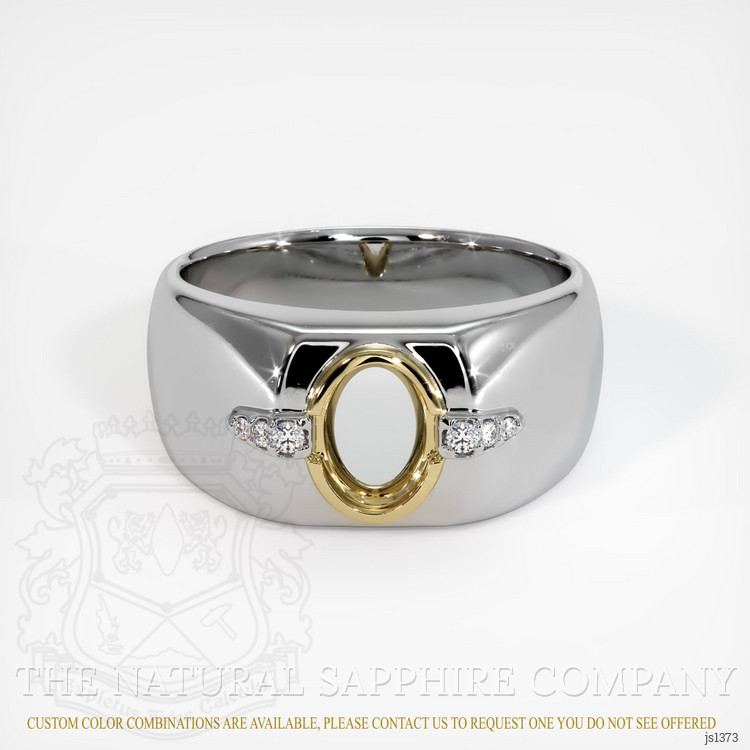 14K Yellow & White Men's Ring Setting