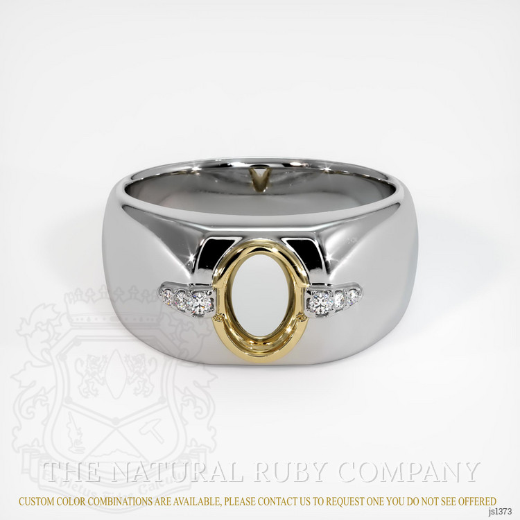 14K Yellow & White Men's Ring Setting