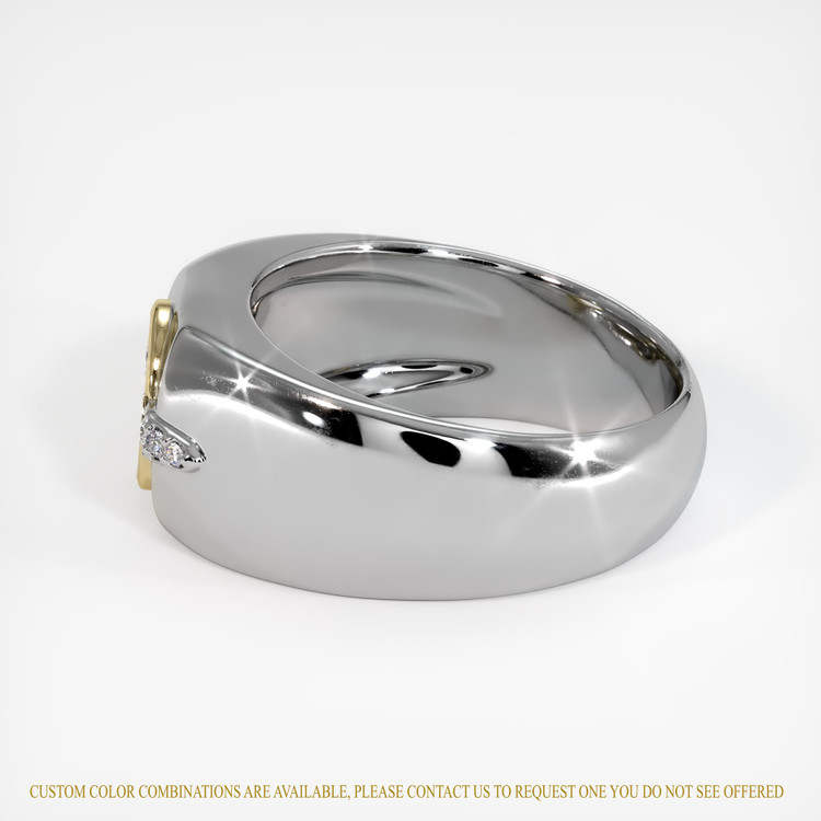 14K Yellow & White Men's Ring Setting