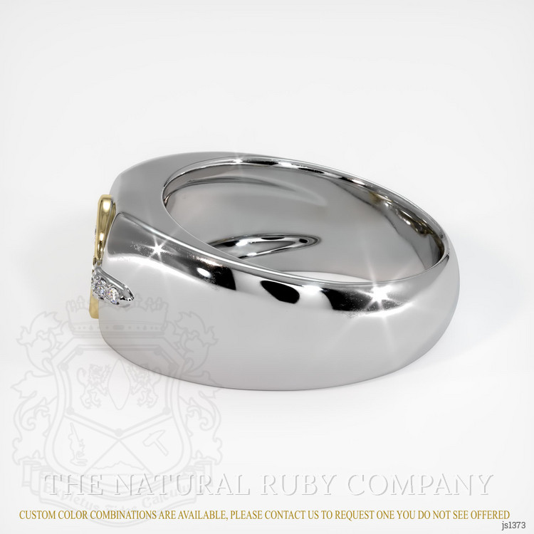 14K Yellow & White Men's Ring Setting