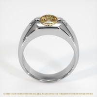 14K Yellow & White Men's Ring Setting Image
