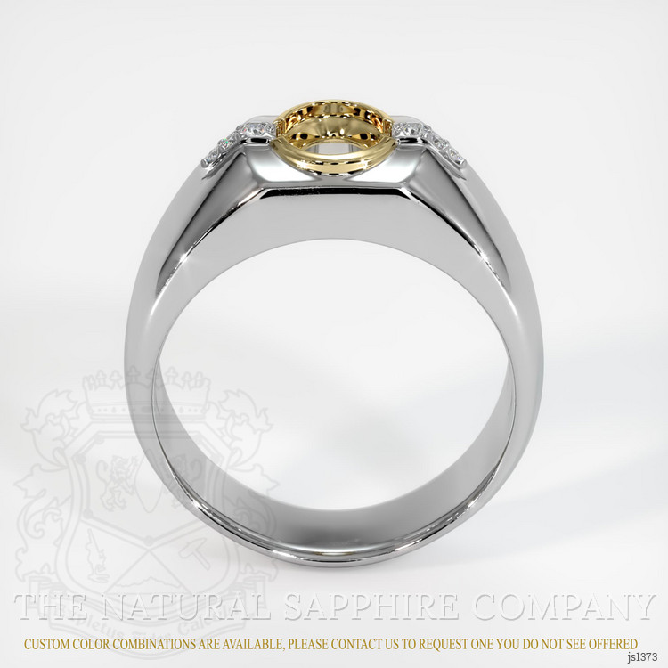 14K Yellow & White Men's Ring Setting