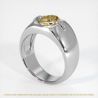 18K Yellow & White Men's Ring Setting Video