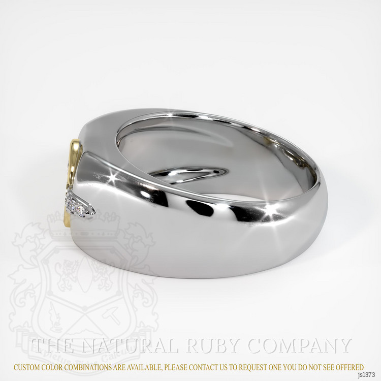 18K Yellow & White Men's Ring Setting