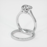 14K White Gold Accent Stones Ring Setting Image