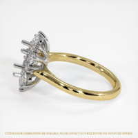 18K White & Yellow Halo Ring Setting Image