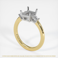14K White & Yellow Three Stone Ring Setting Video