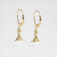 14K Yellow Gold Drops Earring Setting Image