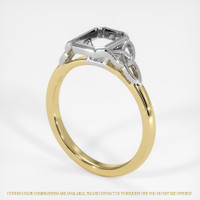 14K White & Yellow Bezel Ring Setting Video