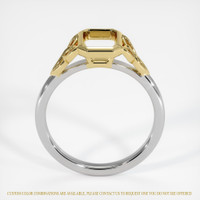 14K Yellow & White Bezel Ring Setting Image