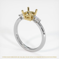 14K Yellow & White Three Stone Ring Setting Video