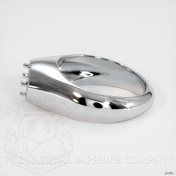 10K White Gold Men's Ring Setting