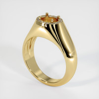 14K Yellow Gold Men's Ring Setting Video