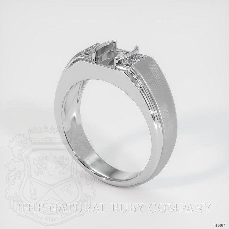 Silver Men's Ring Setting