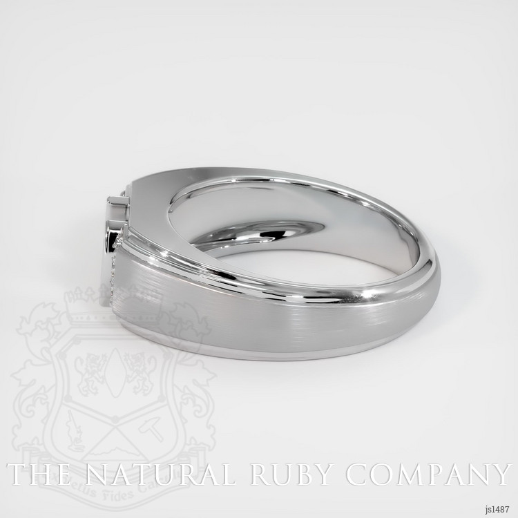 14K White Gold Men's Ring Setting