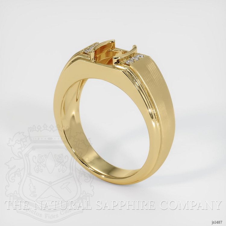 10K Yellow Gold Men's Ring Setting