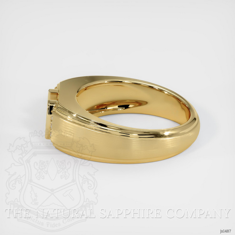 10K Yellow Gold Men's Ring Setting